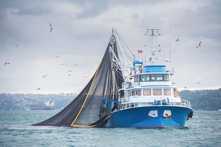 (Pesca, conferma degli sgravi contributivi Martina: Tuteliamo il reddito dei pescatori) (Pesca, conferma degli sgravi contributivi Martina: Tuteliamo il reddito dei pescatori)