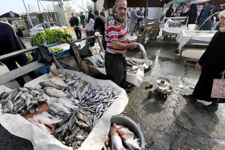 (Pesca, via libera al pacchetto di misure a sostegno del reddito dei lavoratori)