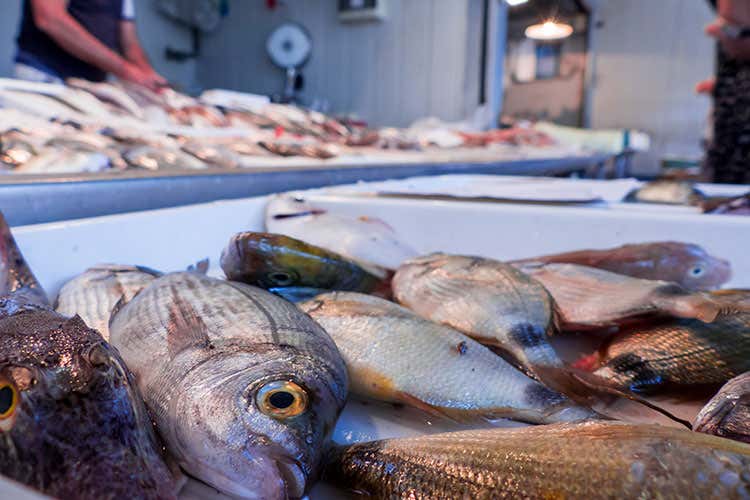 Pesca sostenibile e responsabile? Sì, con l'impegno di cuochi e consumatori Pesca sostenibile e responsabile? Sì, con l'impegno di cuochi e consumatori