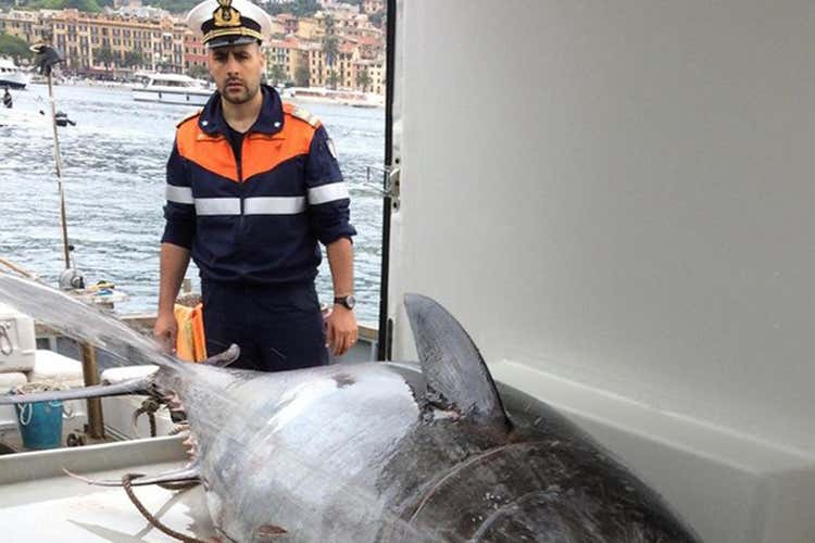 Pesca al tonno rosso, nuovo decreto Sbarco lecito in cento porti nazionali Pesca al tonno rosso, nuovo decreto Sbarco lecito in cento porti nazionali
