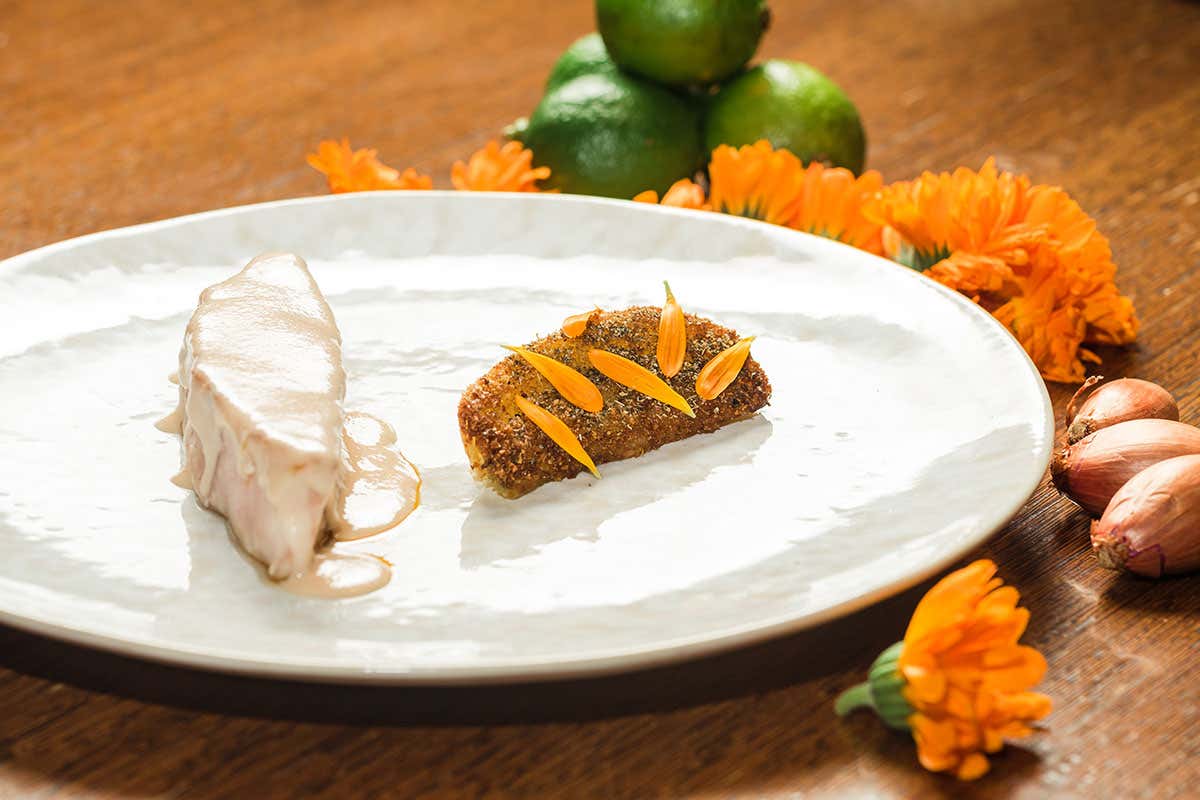 Pescato croccante, salsa al burro acido, finocchio e peperoncino Moma, quando l’arte sposa la cucina