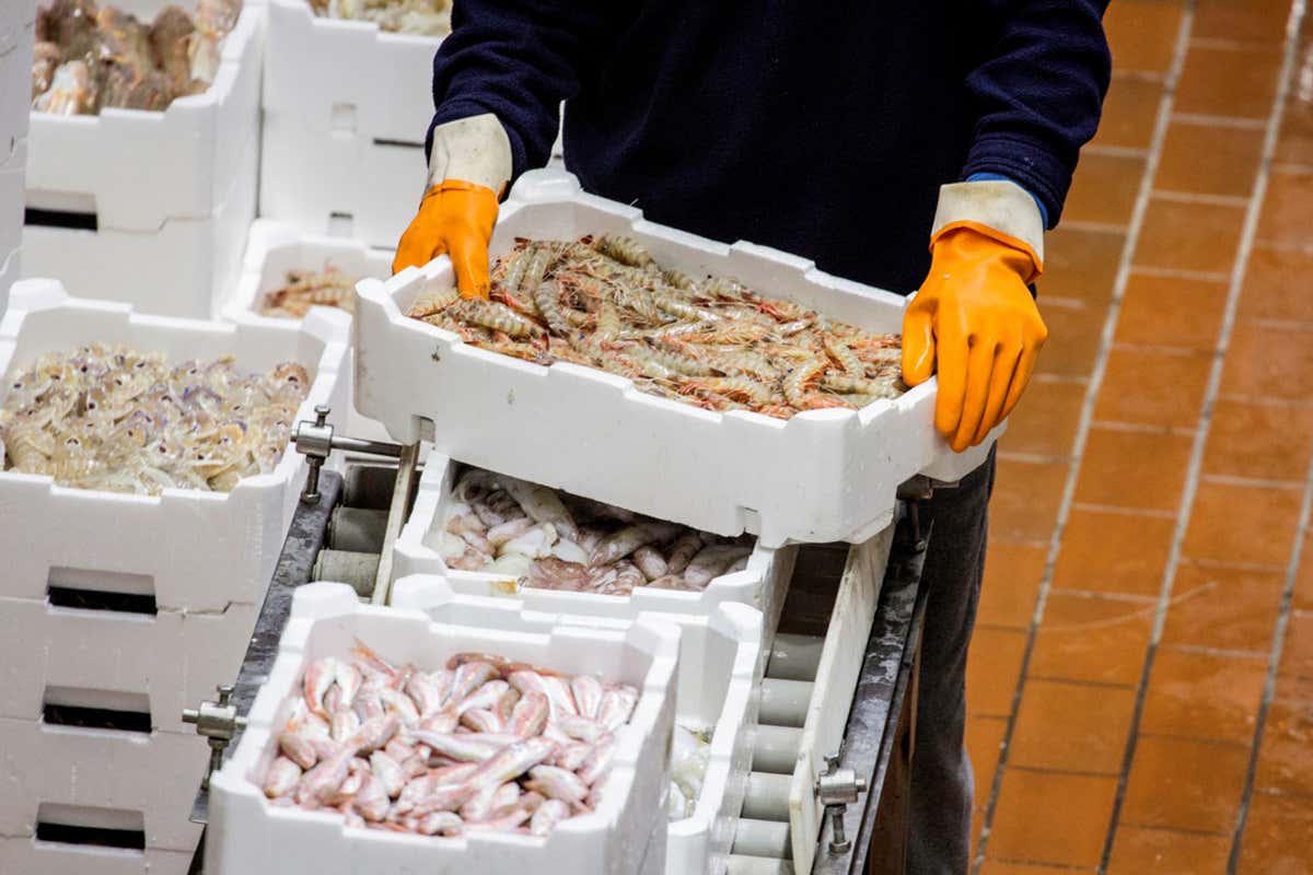 All'assaggio dei prodotti del territorio 