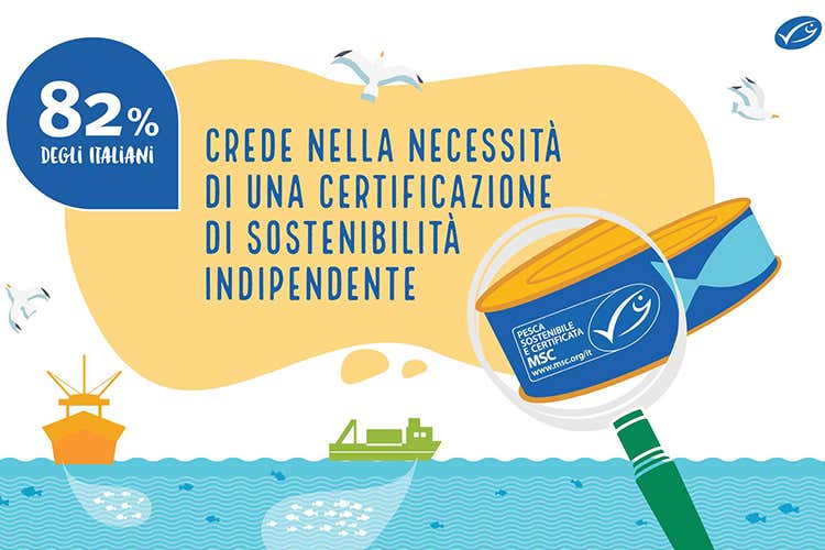 Pesce, un must in tavola Pi&ugrave; attenzione alla sostenibilit&agrave;