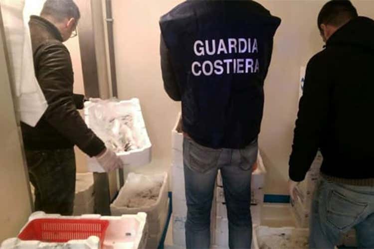 Pesce, una tonnellata senza tracciabilità Sequestro al porto canale di Fiumicino Pesce, una tonnellata senza tracciabilità Sequestro al porto canale di Fiumicino