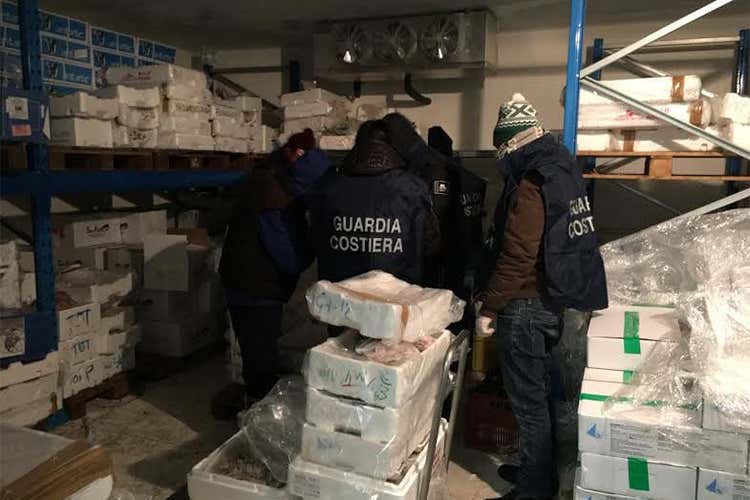 Pesce, una tonnellata senza tracciabilità Sequestro al porto canale di Fiumicino Pesce, una tonnellata senza tracciabilità Sequestro al porto canale di Fiumicino