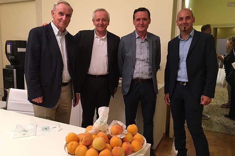 Carmelo Salamone, Giuseppe Liberatore, Leo Bertozzi e Domenico Di Stefano