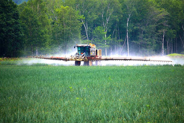 Pesticidi, quelli a base di neonicotinoidi pericolosi per bombi, farfalle e uccelli Pesticidi, quelli a base di neonicotinoidi pericolosi per bombi, farfalle e uccelli