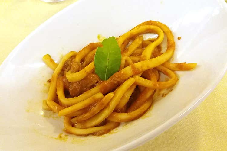 Pici con sugo di cinghiale