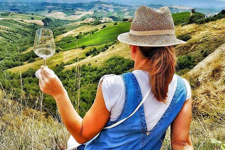 Piatti gourmet, vini tipici e natura Tutto pronto per la Mangialonga Picena Piatti gourmet, vini tipici e natura Tutto pronto per la Mangialonga Picena
