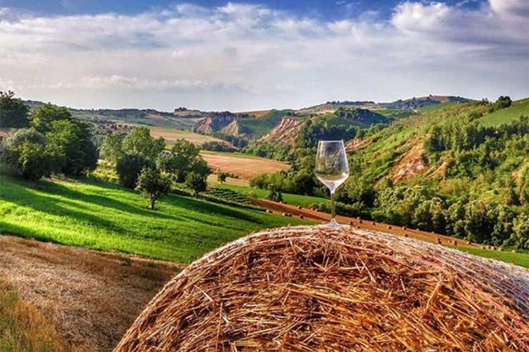 Piatti gourmet, vini tipici e natura Tutto pronto per la Mangialonga Picena Piatti gourmet, vini tipici e natura Tutto pronto per la Mangialonga Picena