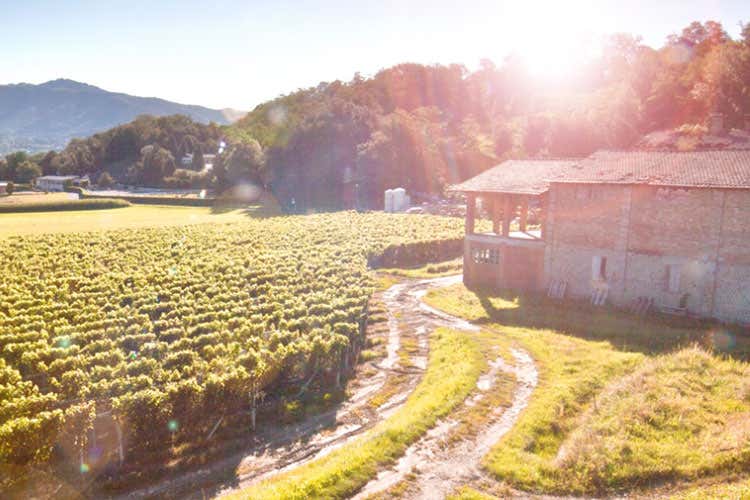 Piatti tipici e tradizioni locali Le feste popolari d'autunno in Ticino Piatti tipici e tradizioni locali Le feste popolari d'autunno in Ticino