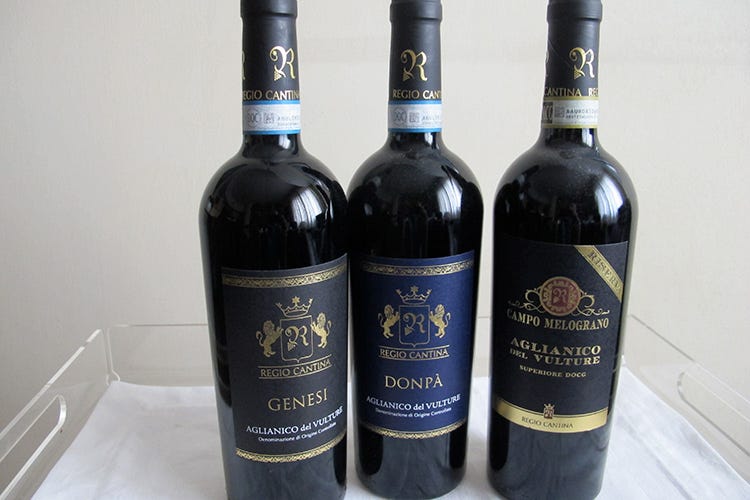 I vini da Aglianico del Vulture di Regio Cantina - Regio Cantina e Torre Morra I vini Piccini da terreni vulcanici