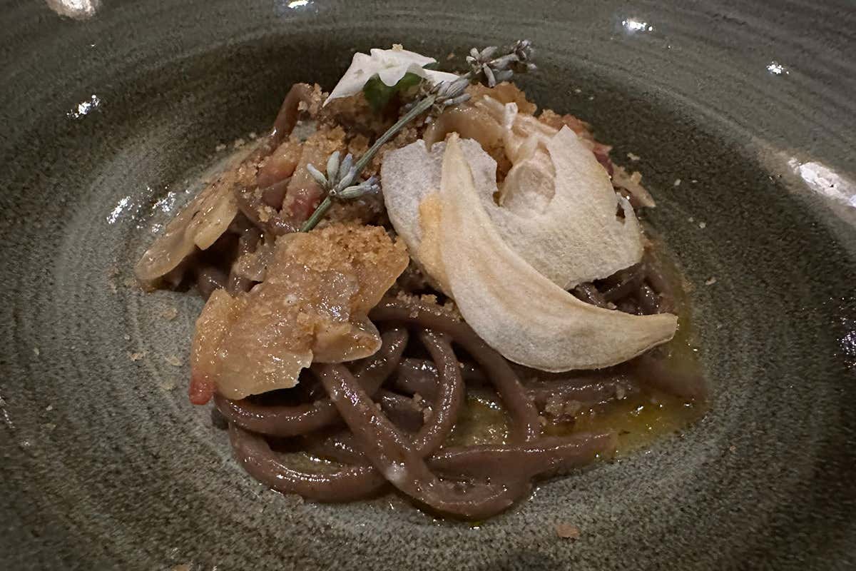 Pici al caffè, aglione della Valdichiana, guanciale e cachi Sempre più charme a Il Falconiere: la nuova sala valorizza l’alta cucina di Silvia Baracchi