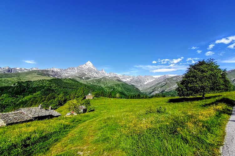 Anche quest’anno continua Parchi da gustare - Polenta concia, selvaggina e pere È il Piemonte di Parchi da Gustare Anche quest’anno continua Parchi da gustare - Polenta concia, selvaggina e pere È il Piemonte di Parchi da Gustare