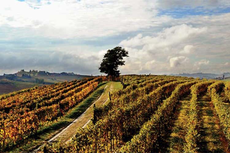 Piemonte a Palazzo tour promozione eccellenze regionali Piemonte a Palazzo tour promozione eccellenze regionali