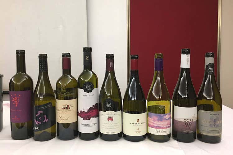 (Il Pinot Nero del Friuli fa rete 9 cantine, 28 ettari, un solo vitigno) (Il Pinot Nero del Friuli fa rete 9 cantine, 28 ettari, un solo vitigno)