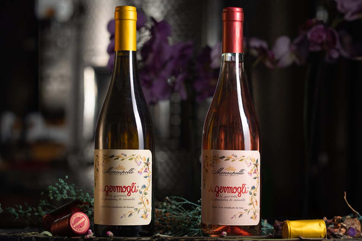 Monsupello, giro di boa a 130 anni: nuova etichetta per Carlo Boatti e nuovo enologo