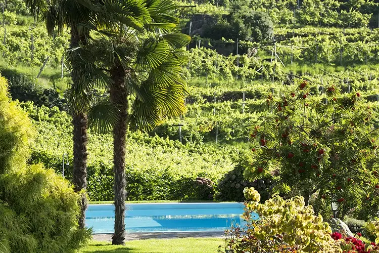 Piscina dello Schloss Plars. Wine &amp; Suites Le pi&ugrave; belle piscine tra i vigneti? Tappa in Alto Adige