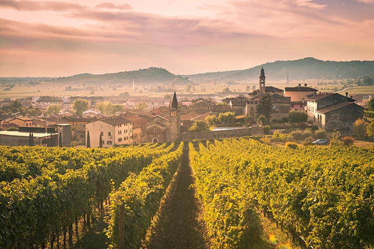 Più camere, meno prodotti agricoli Critiche su riforma degli agriturismi