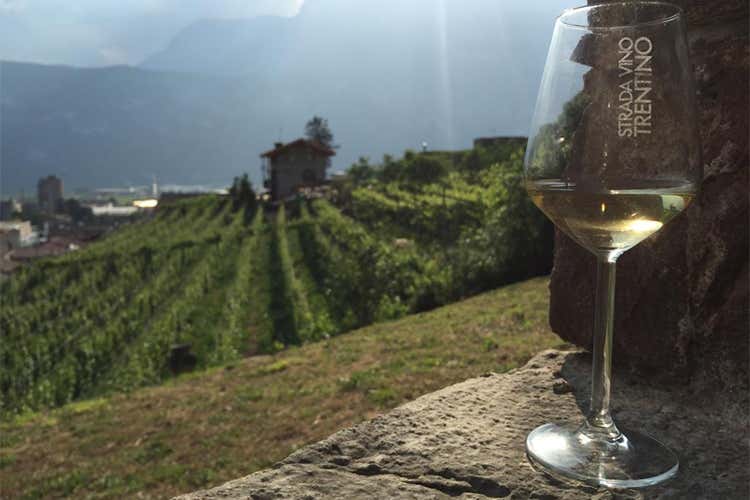 Pi&ugrave; di 20 iniziative in Trentino per raccontare Vino santo e Nosiola
