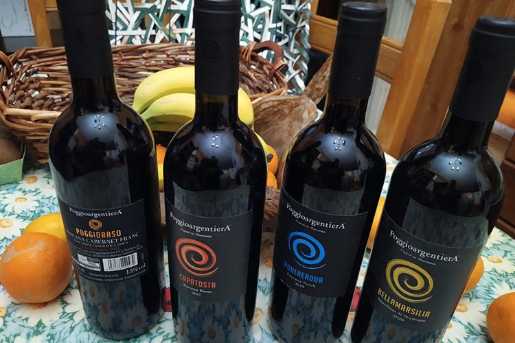 Quattro i rossi in degustazione Poggio Argentiera, presentati 4 dei 6 vini della casa