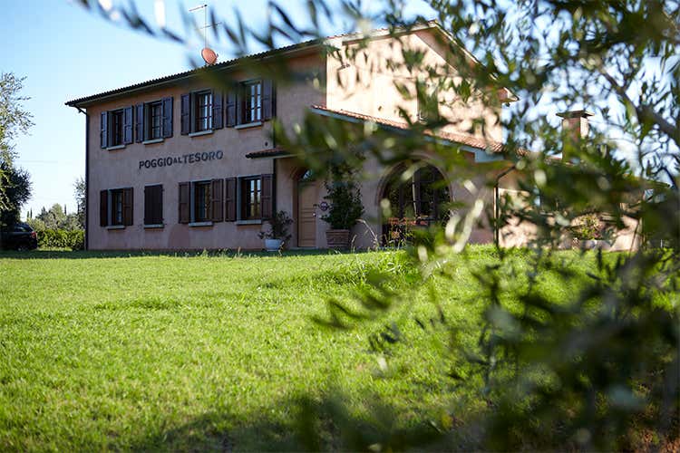 Poggio al Tesoro porta Bolgheri  all&rsquo;Ermitage di San Pietroburgo