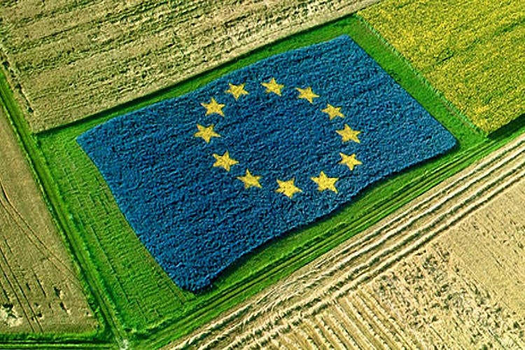 La Politica Agricola Comune fa discutere la comunità scientifica - L'appello degli scienziati alla Ue: Politica Agricola protegga la natura