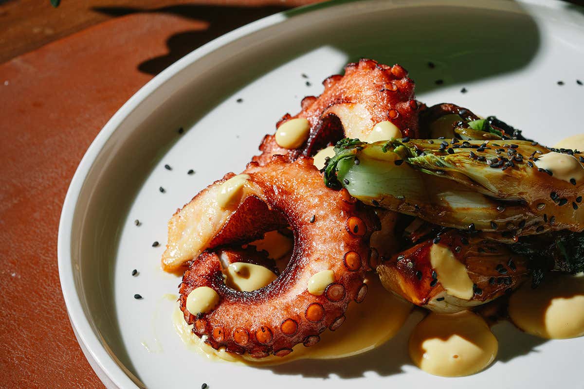 Polpo, pac choi, soia e maionese ai ricci