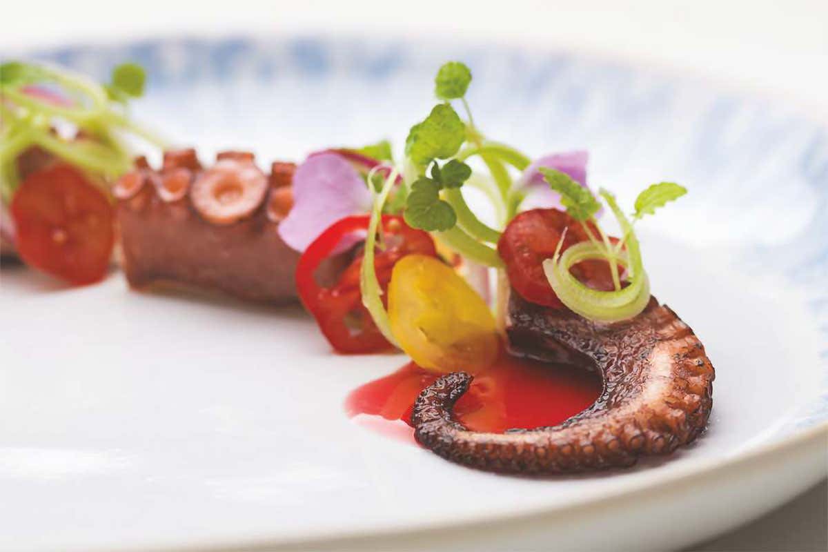 Polpo barbecue, il suo umami con insalatina catalana