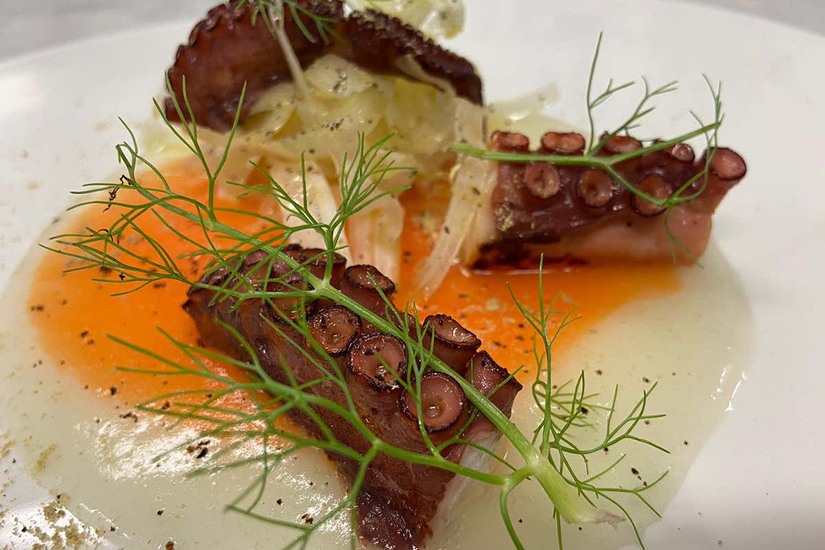 Polpo pinzimonio La cucina romana con quel tocco in più a Le Tamerici