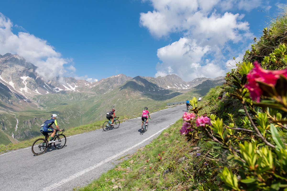Sport, relax, cultura ed enogastronomia: ecco cosa fare nelle montagne bresciane d'estate