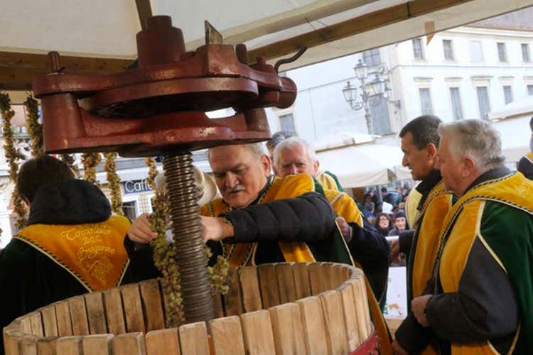 (La Prima del Torcolato, 23ª edizione A Breganze cerimonie e degustazioni) (La Prima del Torcolato, 23ª edizione A Breganze cerimonie e degustazioni)