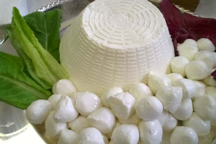 Primitivo di Gioia del Colle Col Manduria il meglio del vino pugliese