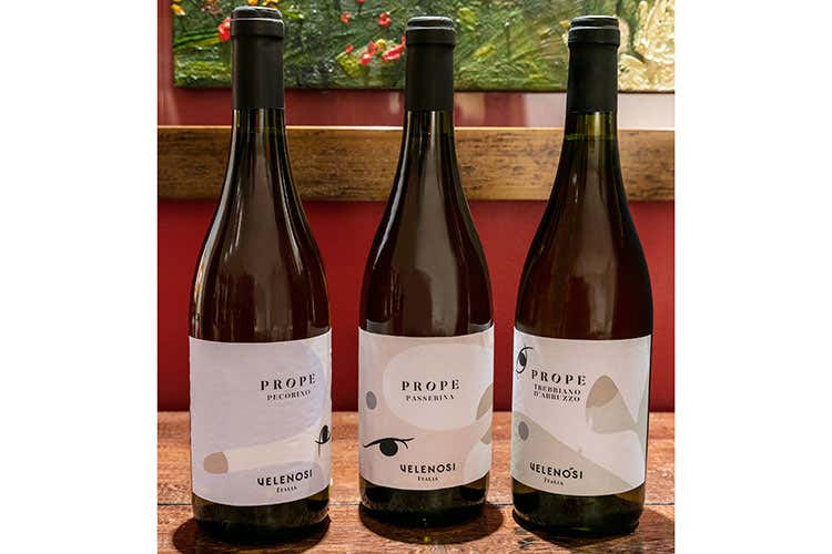 (Prope di Angela Velenosi Vini che parlano di territorio) (Prope di Angela Velenosi Vini che parlano di territorio)