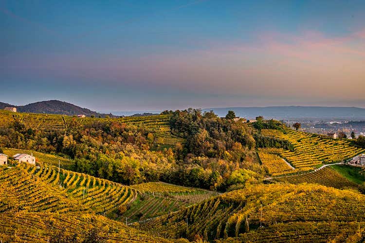 La strada del Prosecco Conegliano Valdobbiadene - In questa crisi il Prosecco Docg si mostra forte con l'esperienza La strada del Prosecco Conegliano Valdobbiadene - In questa crisi il Prosecco Docg si mostra forte con l'esperienza