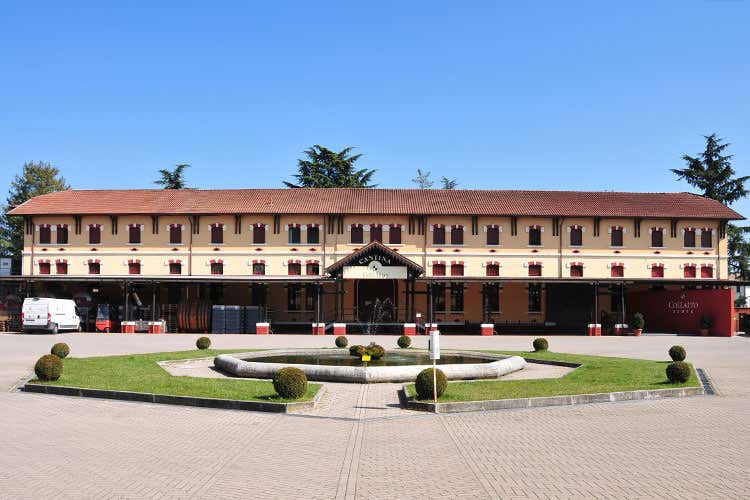 Prosecco Ottaviano e risotto Sapori antichi in chiave moderna