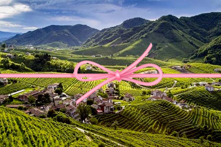 Si potrà fare rosato nella Doc del Prosecco - Il Prosecco Doc versione Rosé Una scelta commerciale obbligata Si potrà fare rosato nella Doc del Prosecco - Il Prosecco Doc versione Rosé Una scelta commerciale obbligata