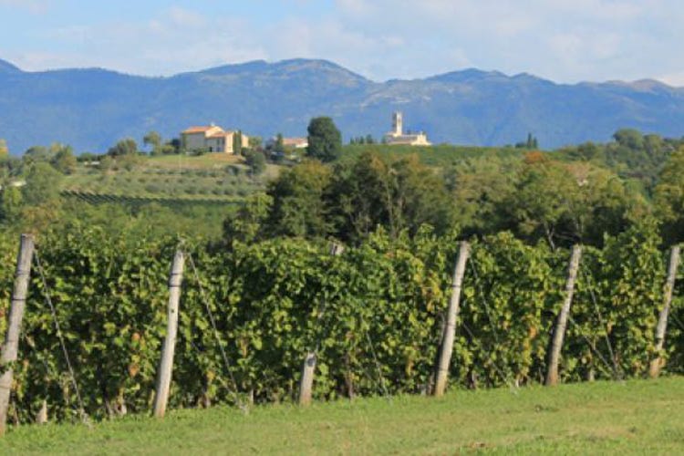 Sì alla candidatura a Patrimonio Unesco 
del paesaggio vitivinicolo del Prosecco