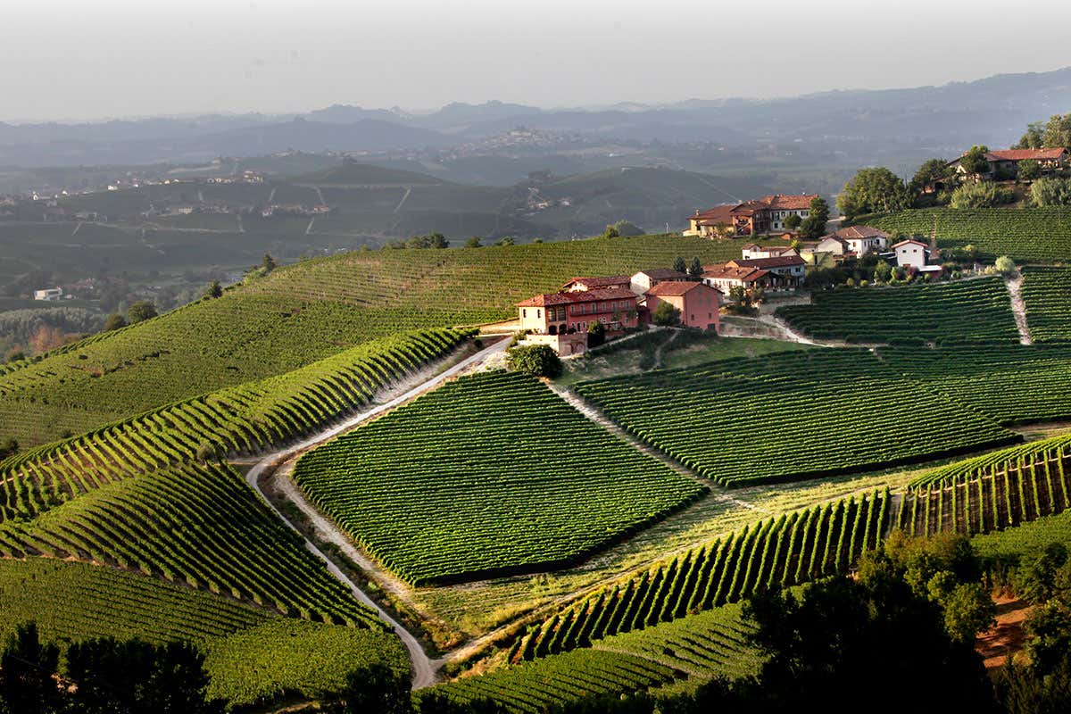 Tenuta Bussia Prunotto, da oltre un secolo Barolo e Barbaresco che raccontano il territorio