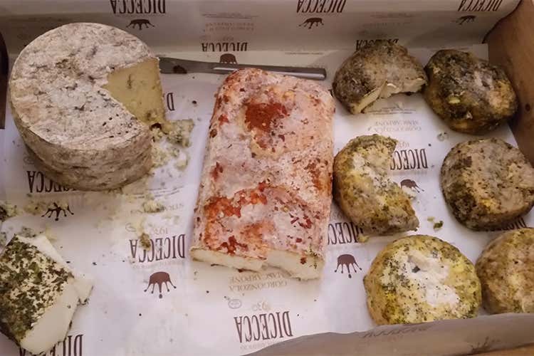I formaggi erborinati del caseificio Dicecca I formaggi erborinati del caseificio Dicecca