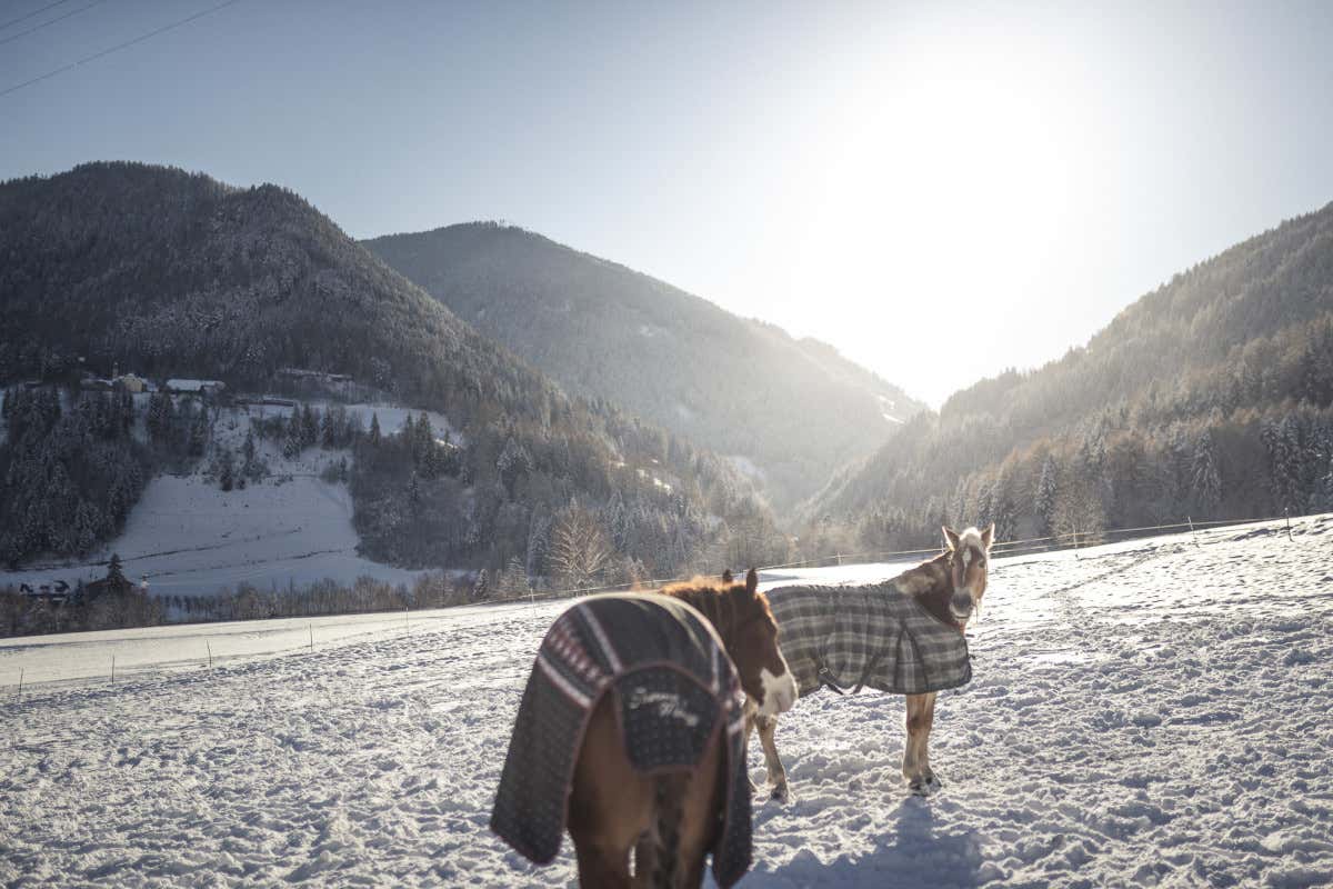 Non hai ancora prenotato per San Valentino: ecco alcune idee last minute Non hai ancora prenotato per San Valentino: ecco alcune idee last minute
