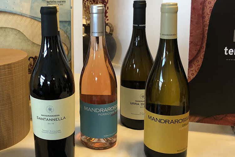 Altre etichette di Mandrarossa (Quando la cooperazione funziona Il vino siciliano di Cantine Settesoli)