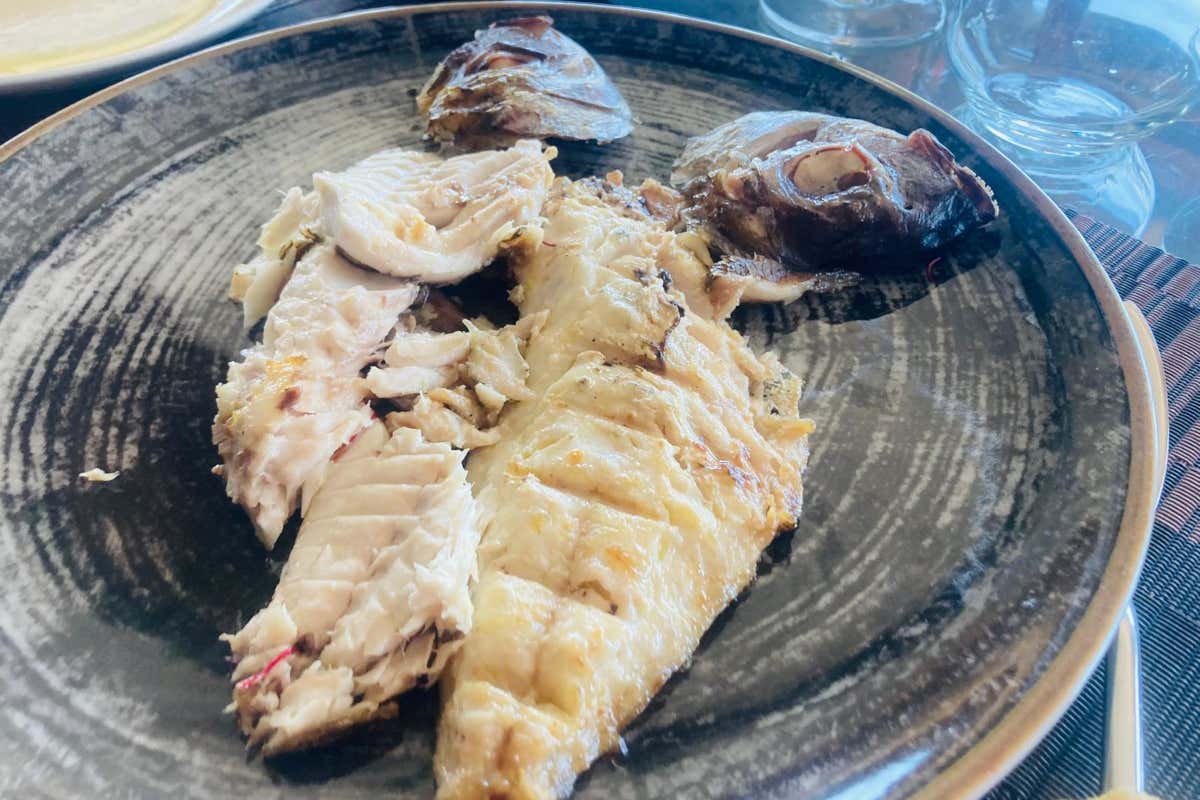 Cucina siciliana con vista: a Brucoli, il ristorante che esalta terroir, mare e creatività Cucina siciliana con vista: a Brucoli, il ristorante che esalta terroir, mare e creatività