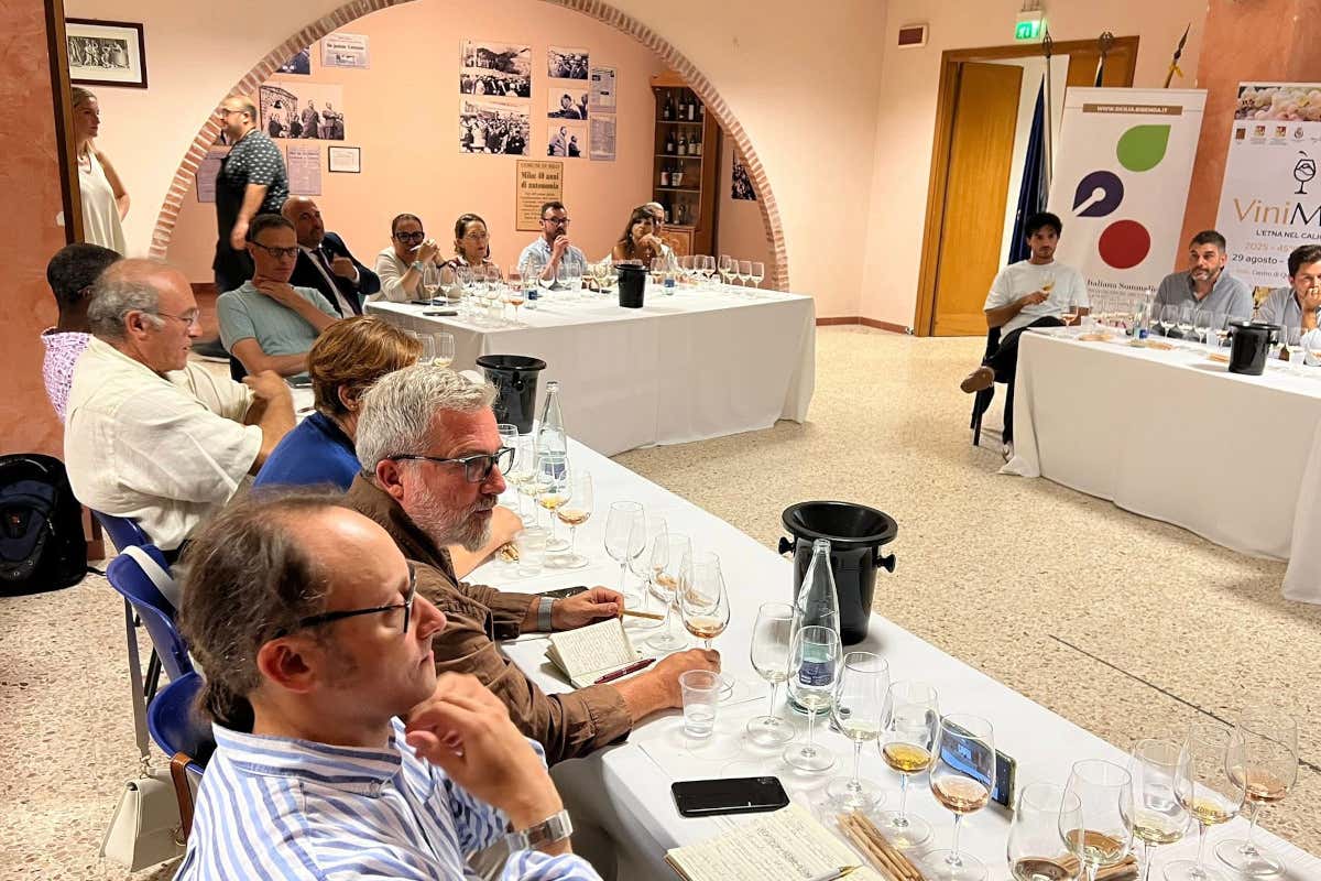 Etna, l’ondata dei giovani enologi: nasce una nuova identità del vino siciliano Etna, l’ondata dei giovani enologi: nasce una nuova identità del vino siciliano