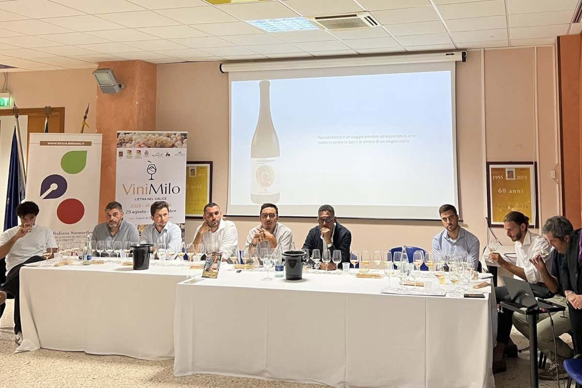 Etna, l’ondata dei giovani enologi: nasce una nuova identità del vino siciliano Etna, l’ondata dei giovani enologi: nasce una nuova identità del vino siciliano