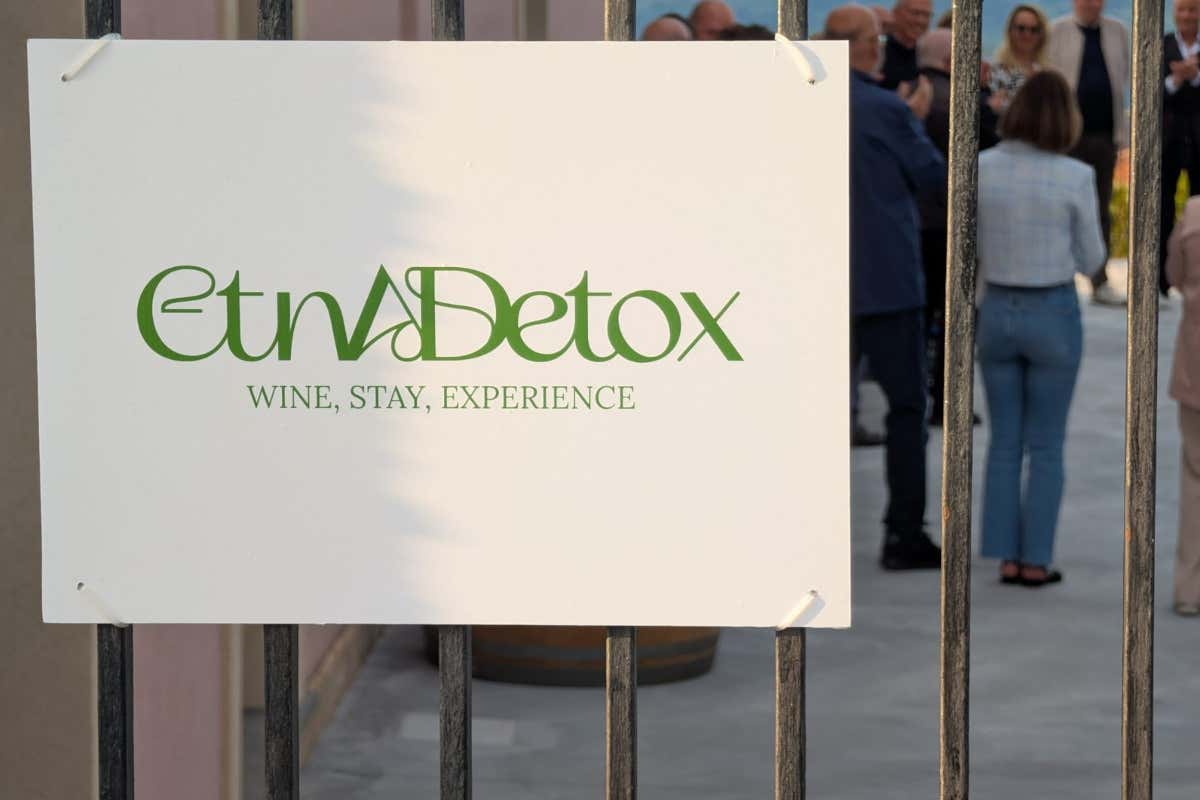 Etnadetox e le 142 Contrade dell'Etna: mappa, storia e futuro del vino siciliano