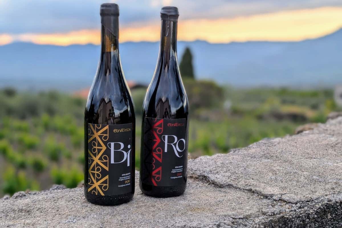 Etnadetox e le 142 Contrade dell'Etna: mappa, storia e futuro del vino siciliano