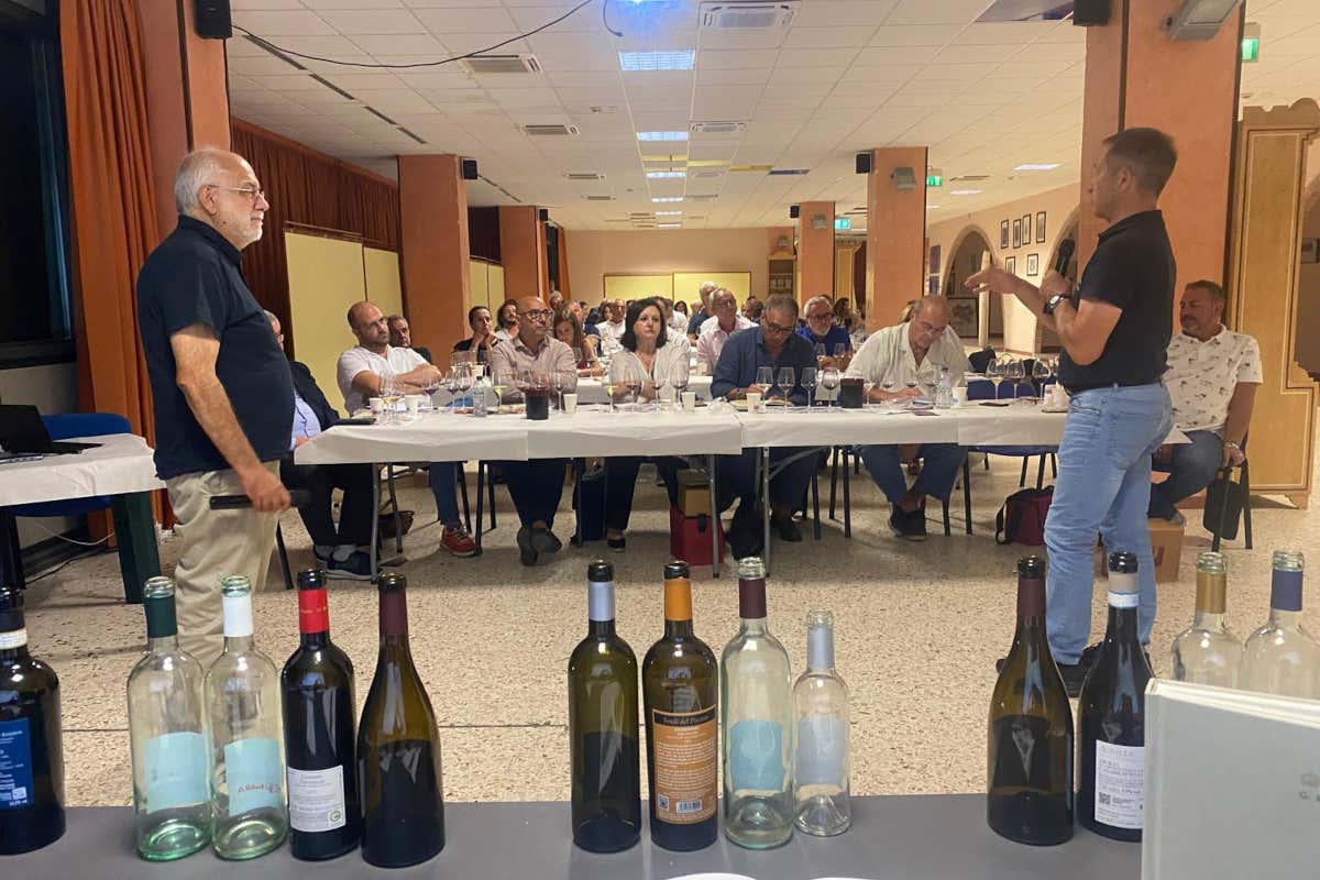 A Milo il primo Atlante delle parentele della vite: un viaggio tra dna e calici A Milo il primo Atlante delle parentele della vite: un viaggio tra dna e calici