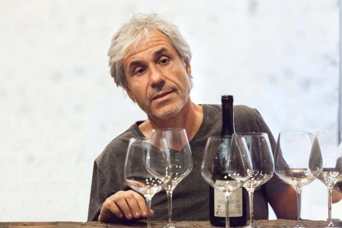 A Milo il primo Atlante delle parentele della vite: un viaggio tra dna e calici A Milo il primo Atlante delle parentele della vite: un viaggio tra dna e calici