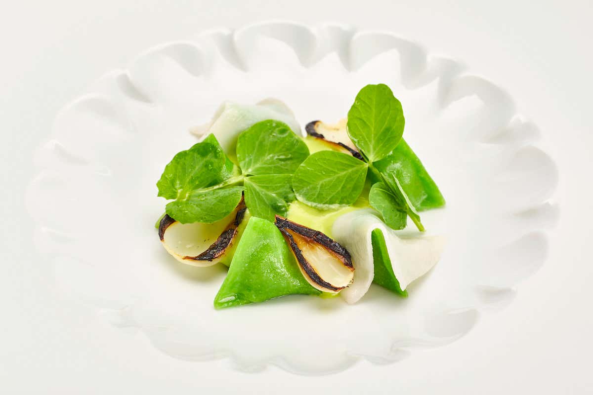 Dal limoneto al piatto: come la natura guida i menu del Volta del Fuenti Dal limoneto al piatto: come la natura guida i menu del Volta del Fuenti